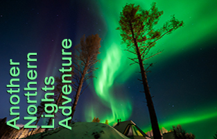 Another Northern Lights Adventure - February 2026